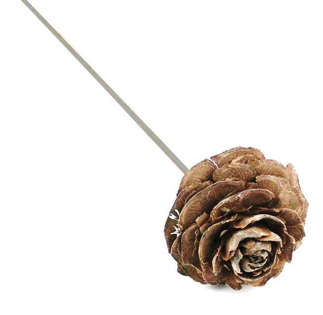 4 Cedernrosen Natur gestielt - Länge ca. 35 cm