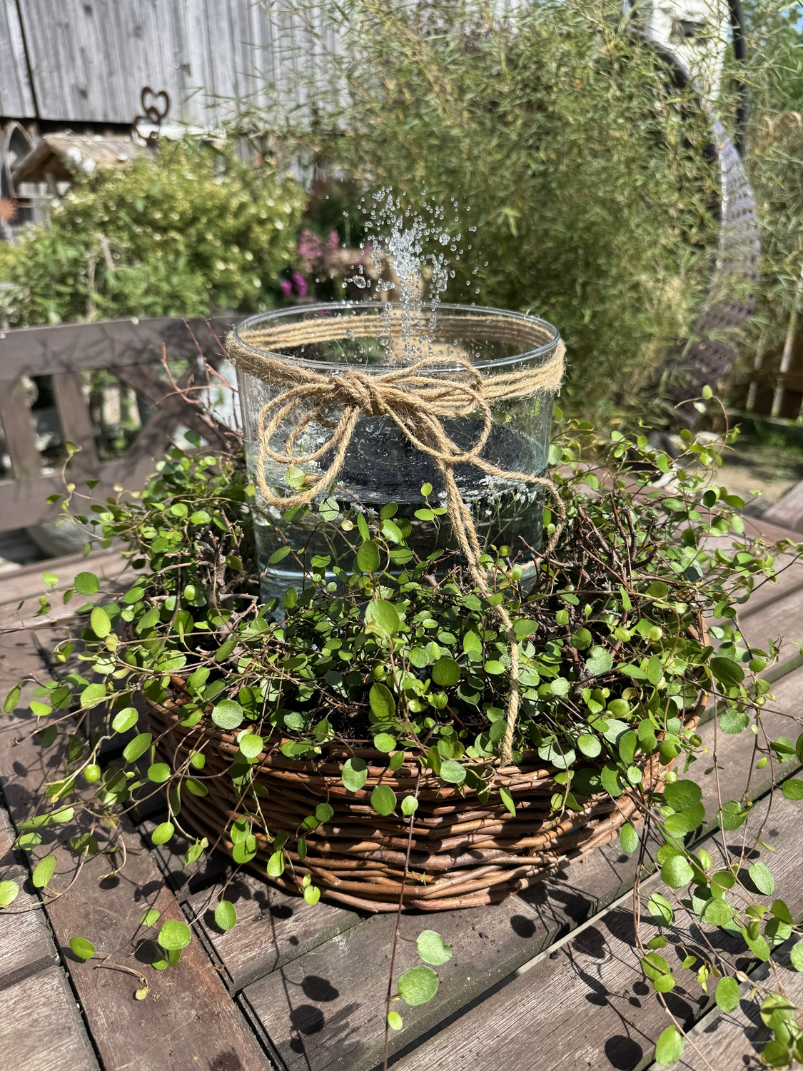 Glas Zylinder - Höhe 19 cm