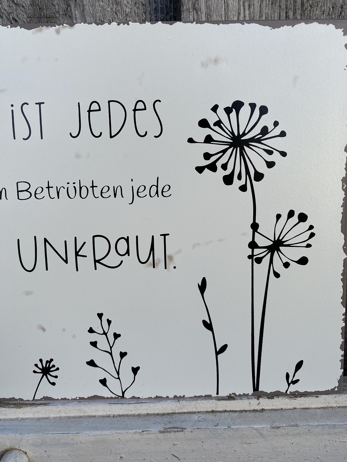 Metall Schild Dem Fröhlichen ist jedes Unkraut - 40 x 20 cm