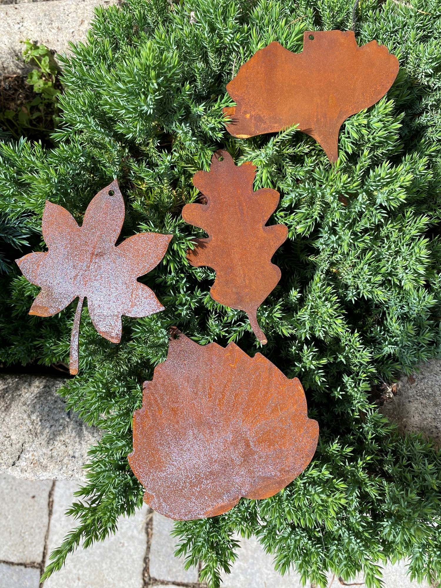 Edelrost 4tlg. Herbstlaub zum Hängen - Höhe 10/11 cm