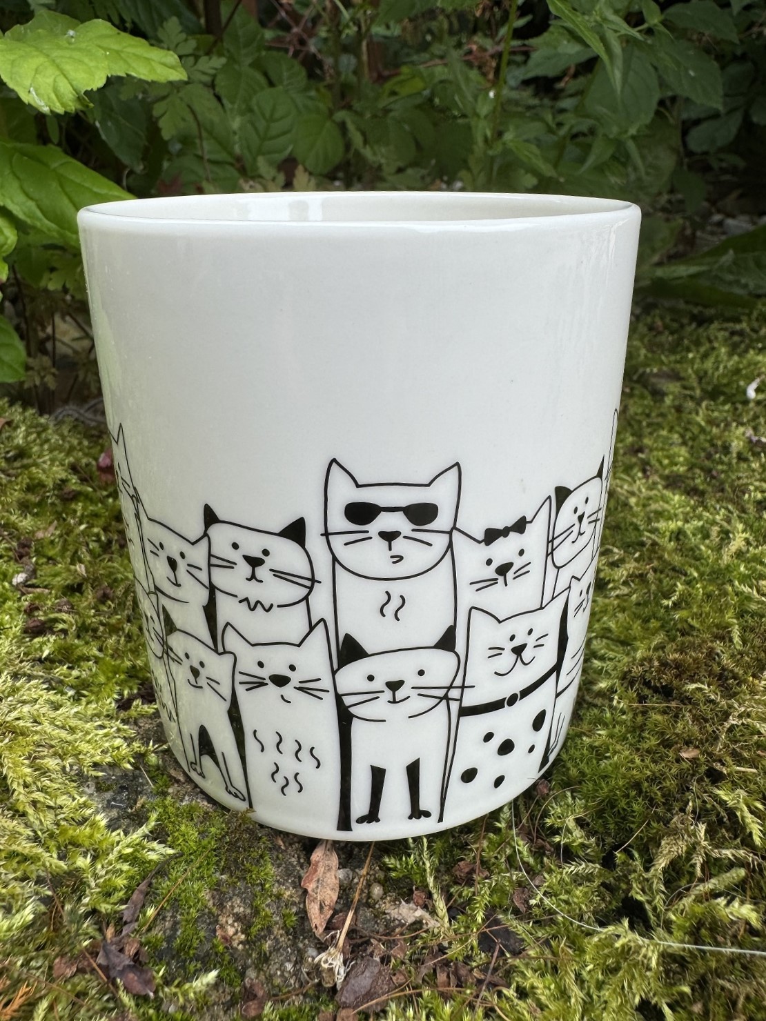 Becher Katzenbande Porzellan weiß/schwarz