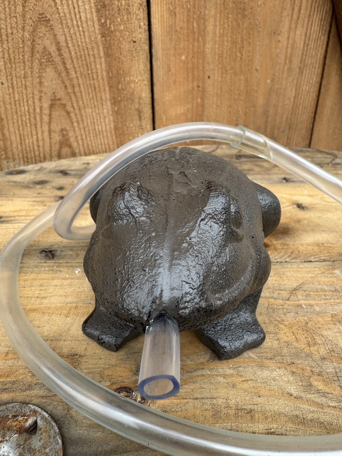 Wasserspeier Frosch Franz inkl. Pumpe - Höhe 8 cm  (Ab 2027 wieder erhältlich)