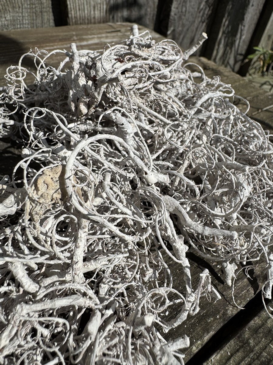 Curly Moos Weiß - 250g / Grundpreis 27,60 €/kg