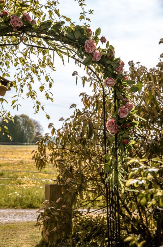 Rosenbogen Parliamo dunkelbraun - Höhe 235 cm