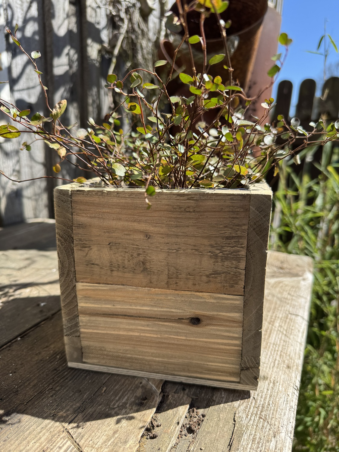 Holz Pflanzkiste klein mit Folieneinsatz - 15 cm