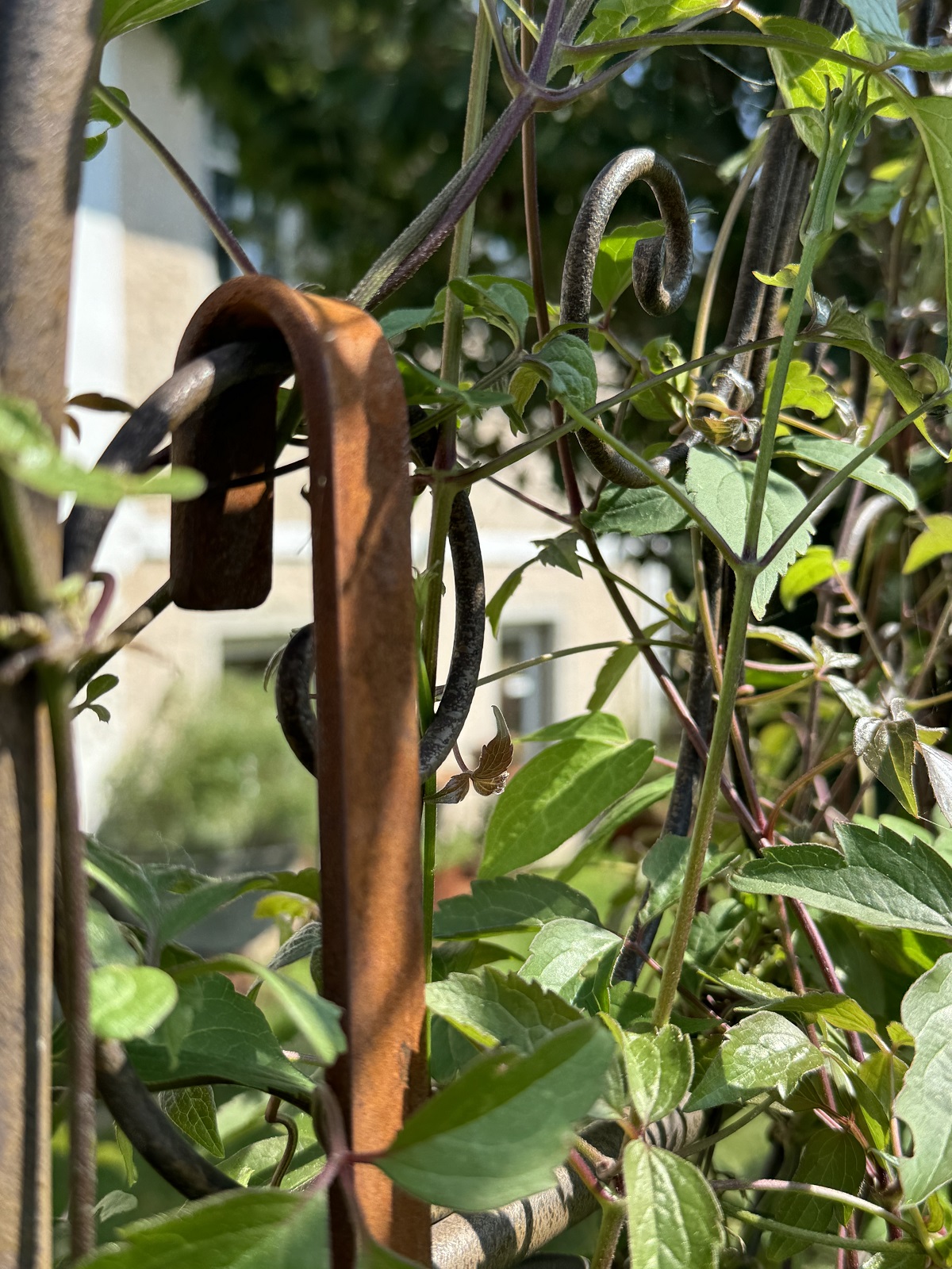 Edelrost Schöpflöffel groß zum Hängen - Höhe 44 cm
