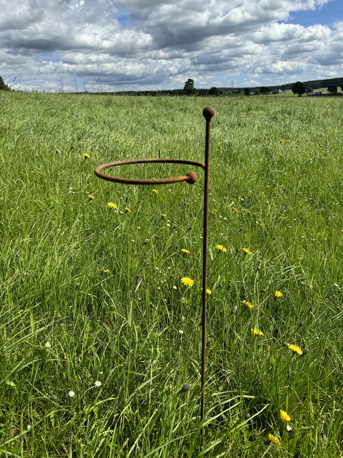 Edelrost Staudenhalter klein runde Form - Durchmesser 20 cm