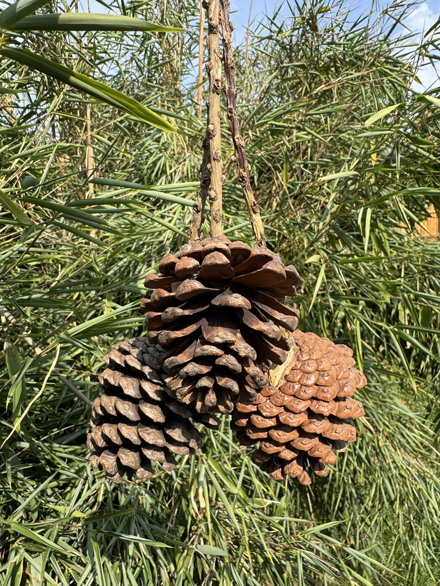Hänger mit 3 Zapfen an Ästen - Höhe ca. 32 cm
