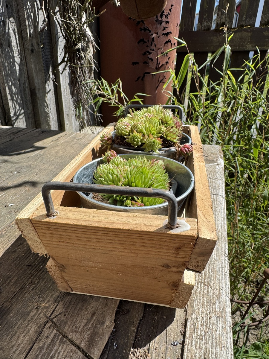 Holz Kiste mit Metallhenkel und 2 Zinktöpfen - Länge 23 cm