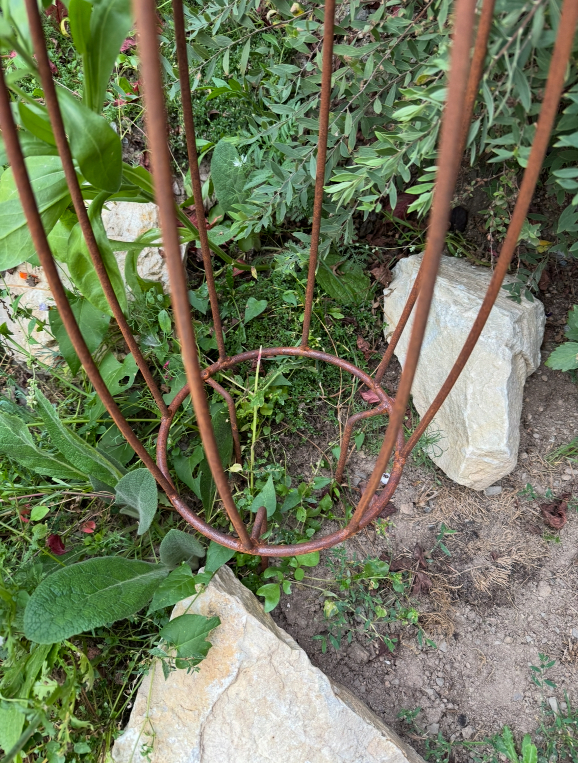 Edelrost Rankzwiebel zum stecken - Höhe ca. 95 cm