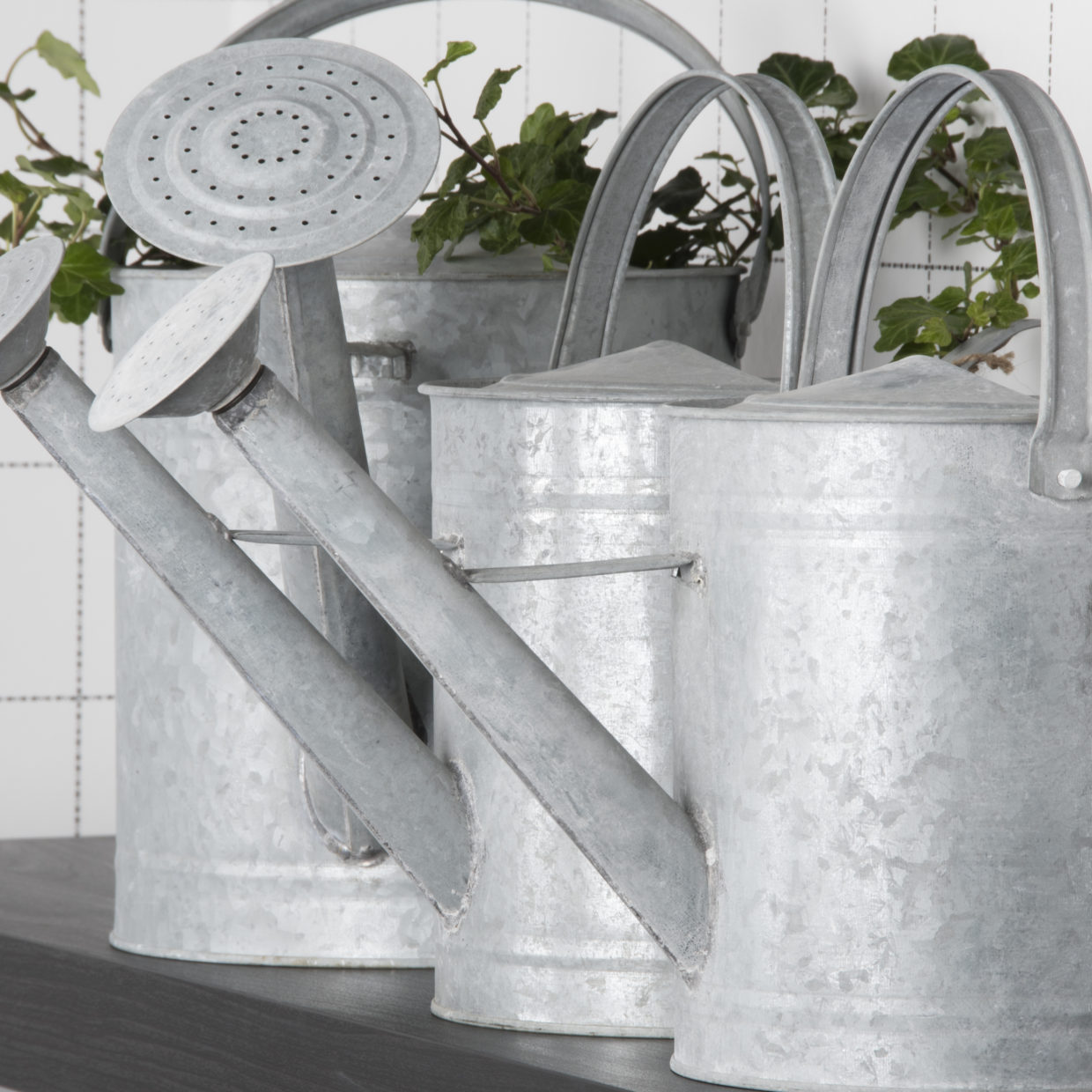 Zink Gießkanne mittel 6,5 Liter mit Brausekopf Liter - Höhe 29 cm