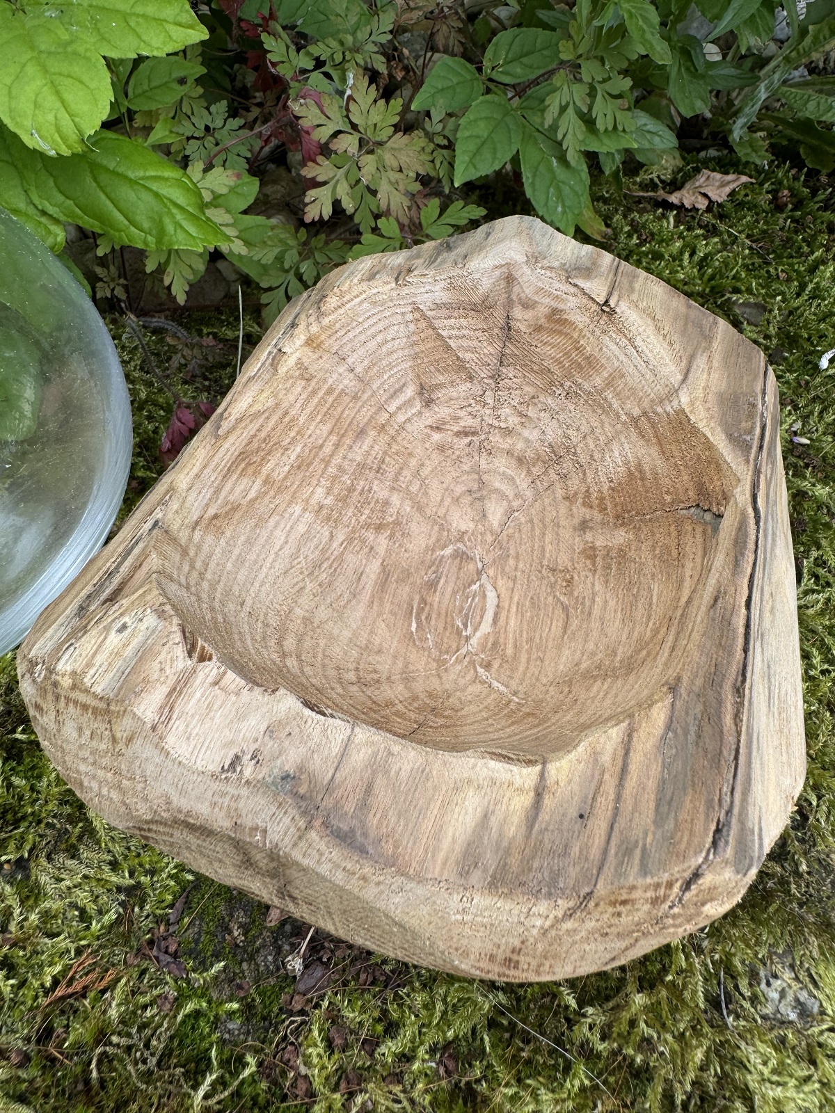 Holz Windlicht Davao mit Kugelglas Vase - Breite 18 cm