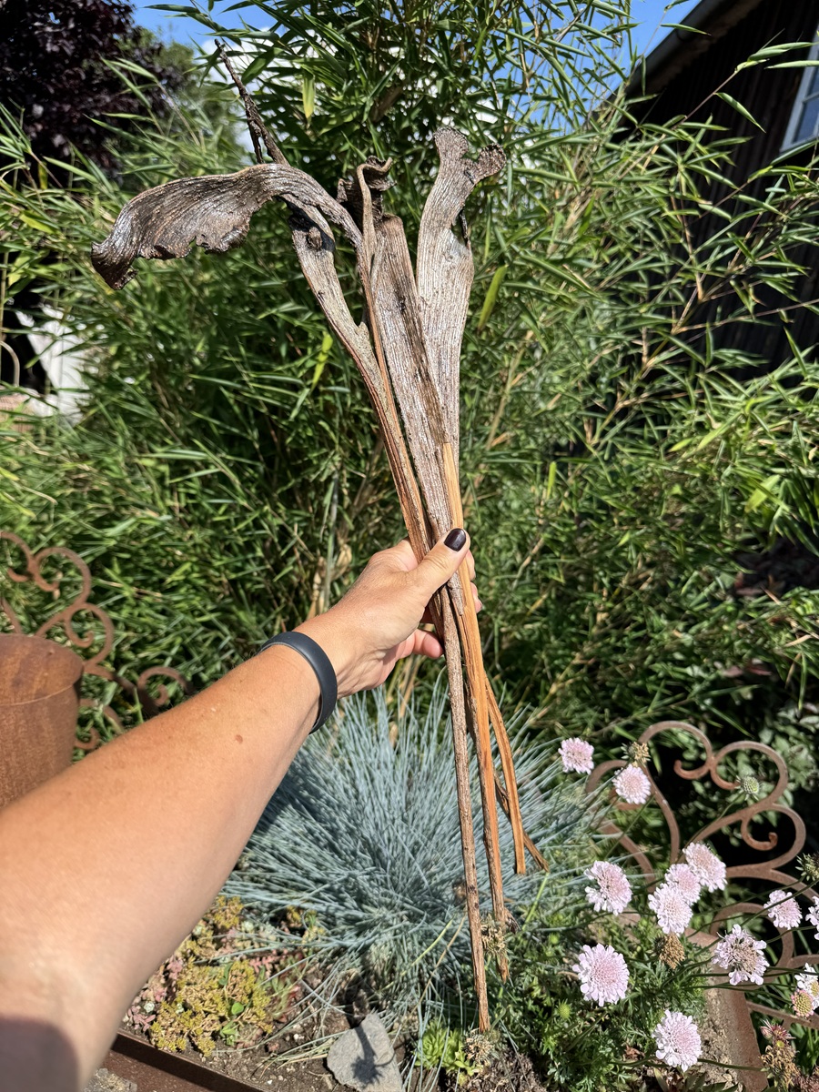 4 Geweihhölzer naturgeformt - Länge ca. 40 - 60 cm