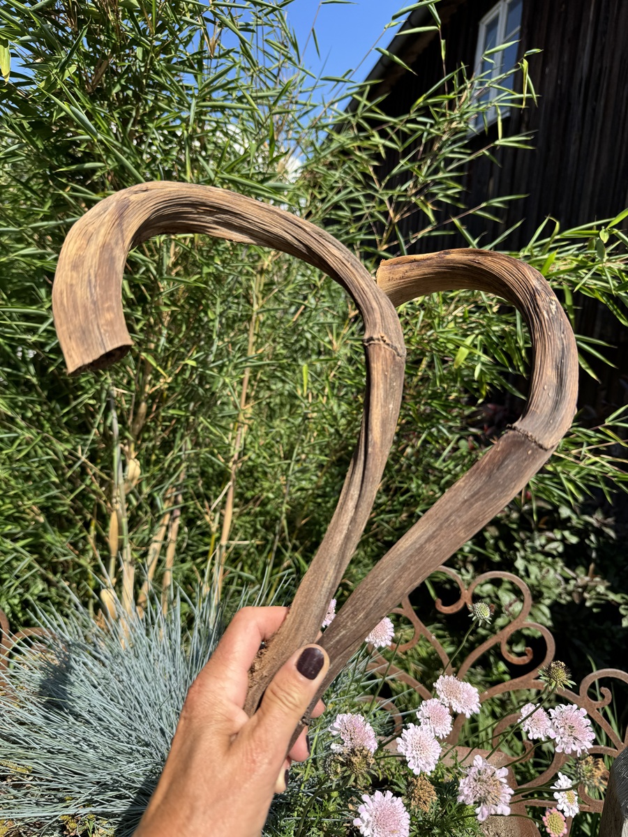 2 Holz Bananenstäbe naturgeformt - Länge ca. 50 - 70 cm