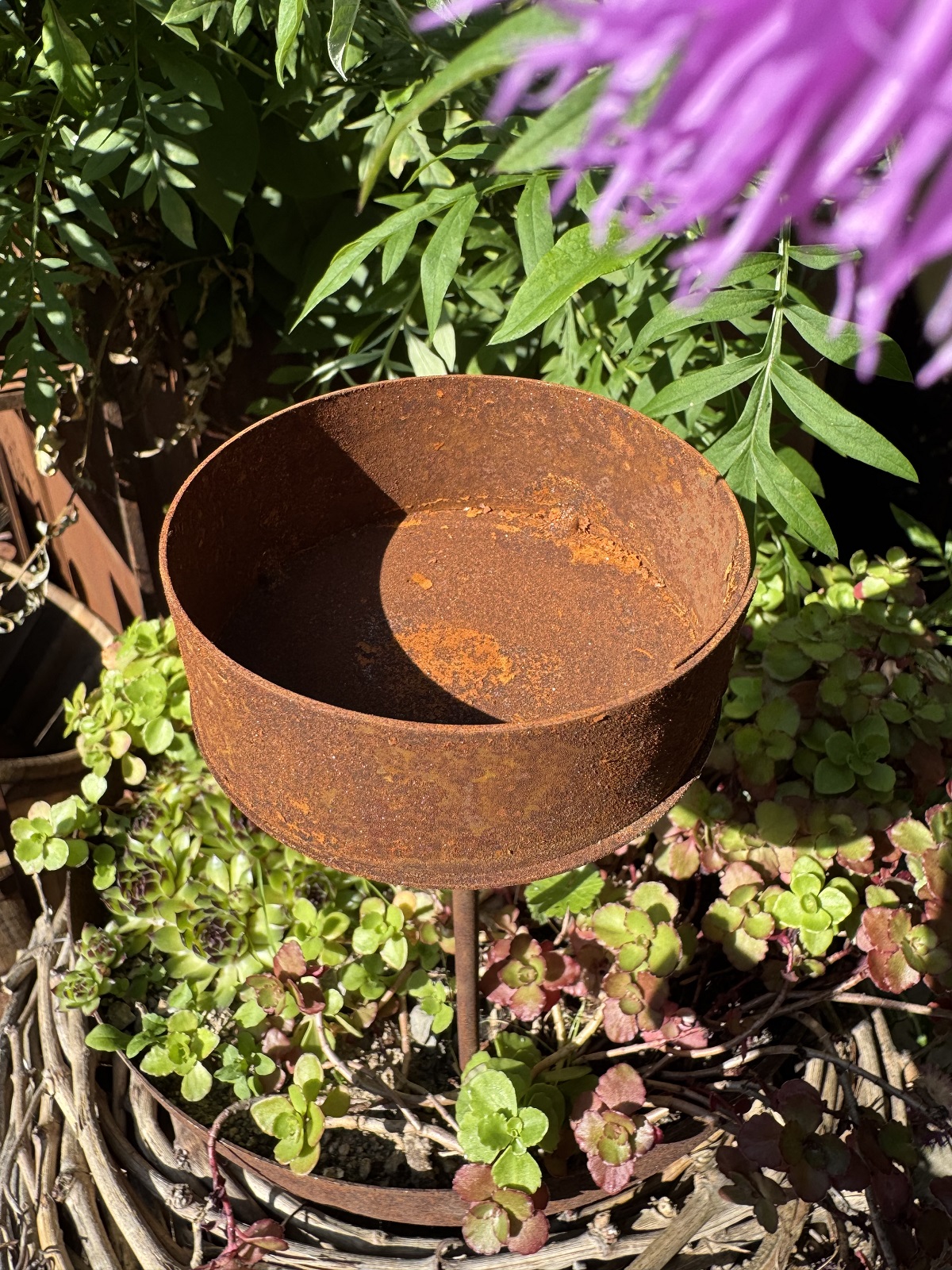 Edelrost Mini Schale auf Stab - Höhe 25 cm