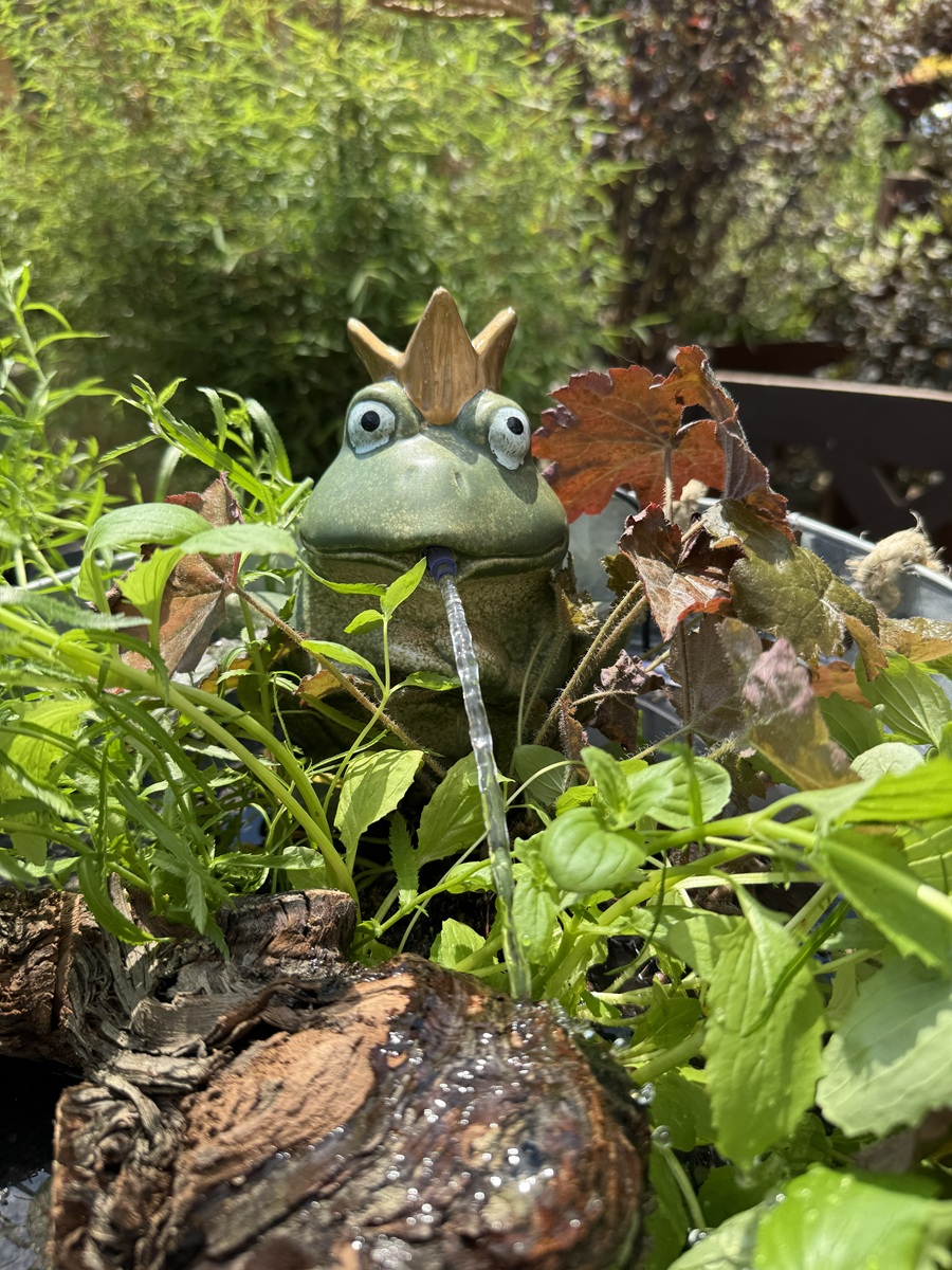 Steingut Wasserspeier Froschkönig Manfred grün mit goldener Krone - Höhe 18 cm