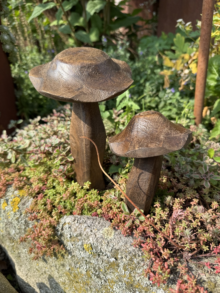 Holz Pilz dunkelbraun Handgearbeitet - Höhe ca. 13 cm