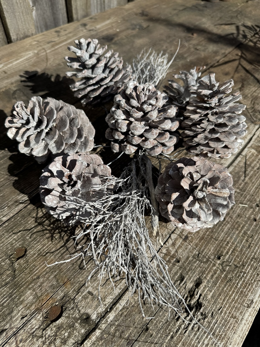 Gesteck mit Zweigen und Kiefern Zapfen Weiß gekalkt - Länge ca. 40 cm