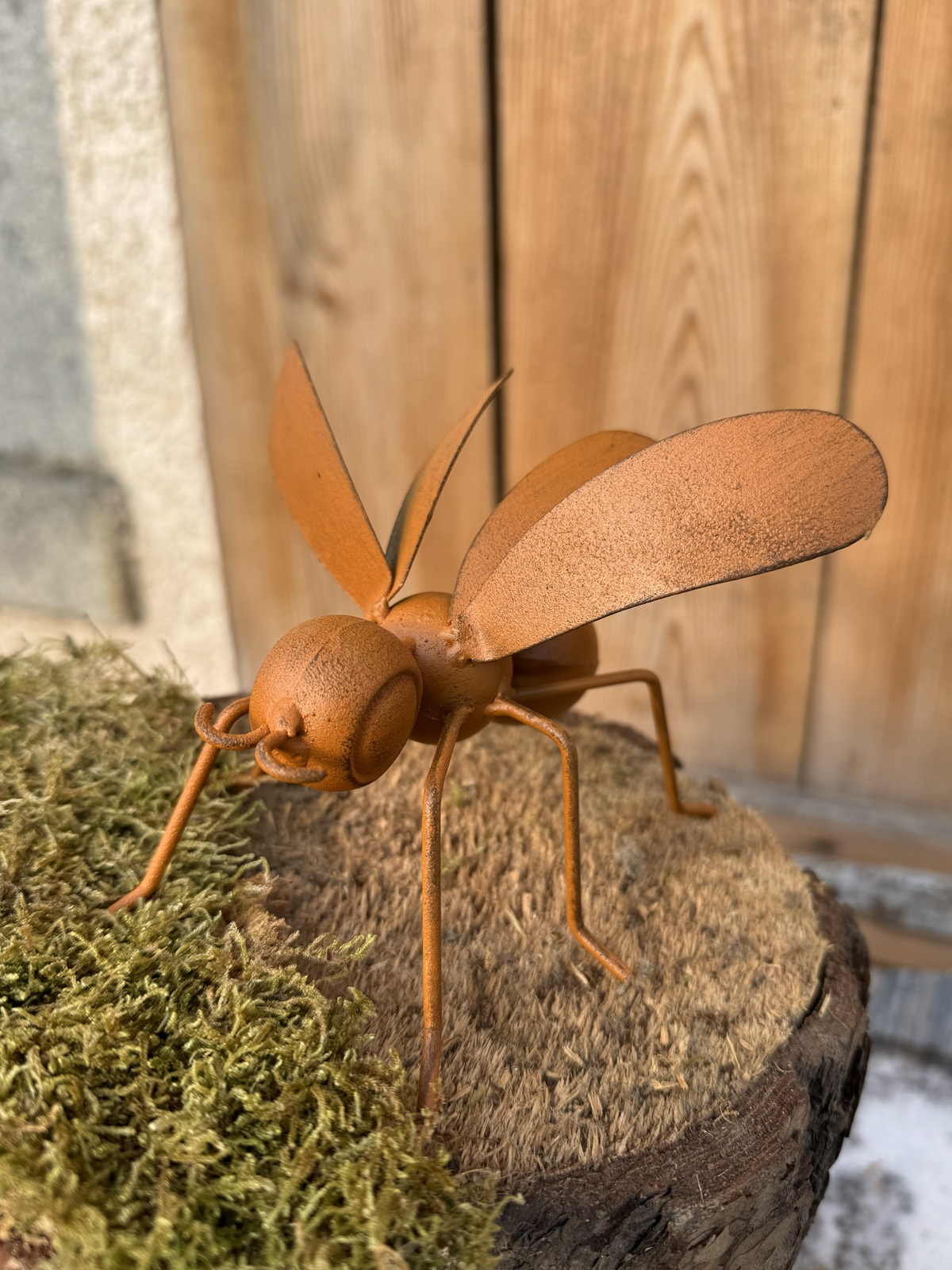 Rostoptik Fliege 3D Form - Länge 12 cm
