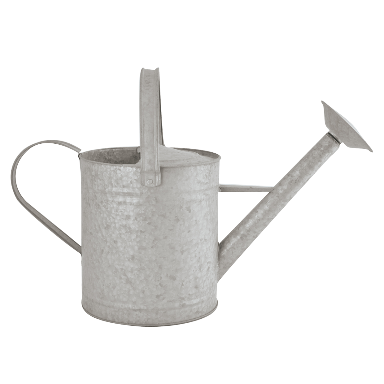 Zink Gießkanne mittel 6,5 Liter mit Brausekopf Liter - Höhe 29 cm