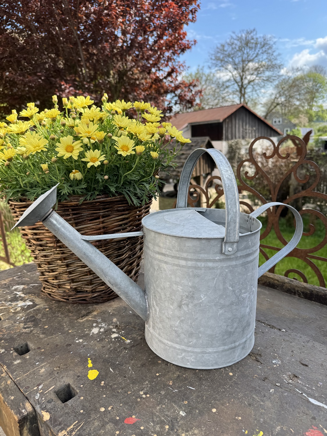 Zink Gießkanne mittel 6,5 Liter mit Brausekopf Liter - Höhe 29 cm