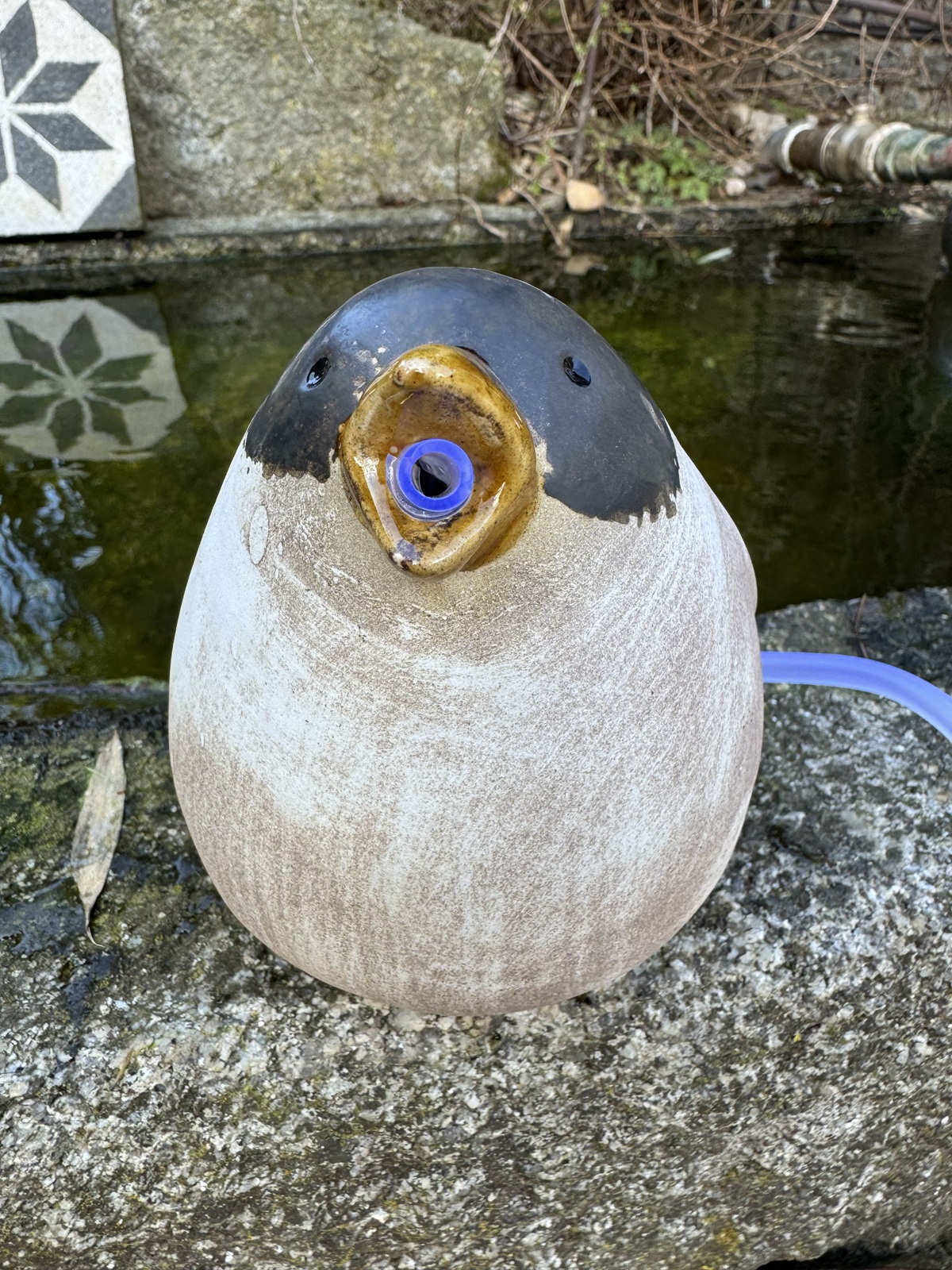 Steingut Wasserspeier Vogel Marta mit Pumpe - Höhe 13 cm