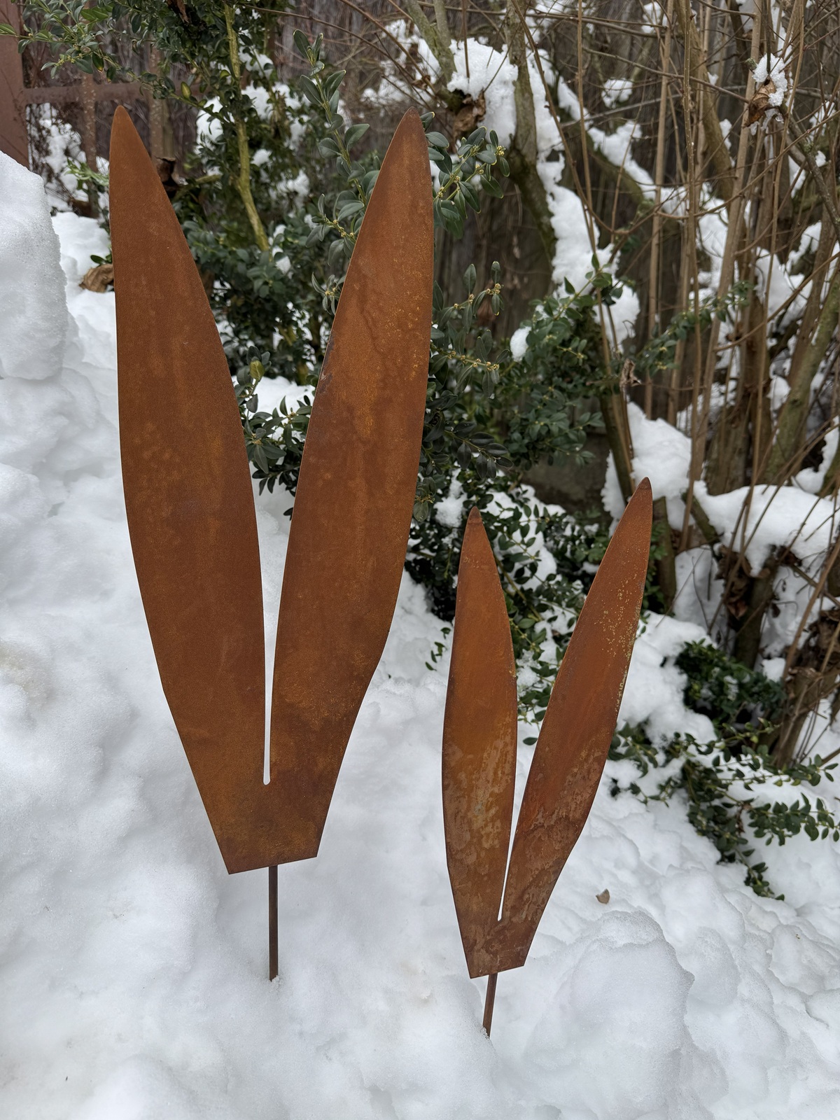 Edelrost Hasenohren klein - Höhe 35 cm + Stab