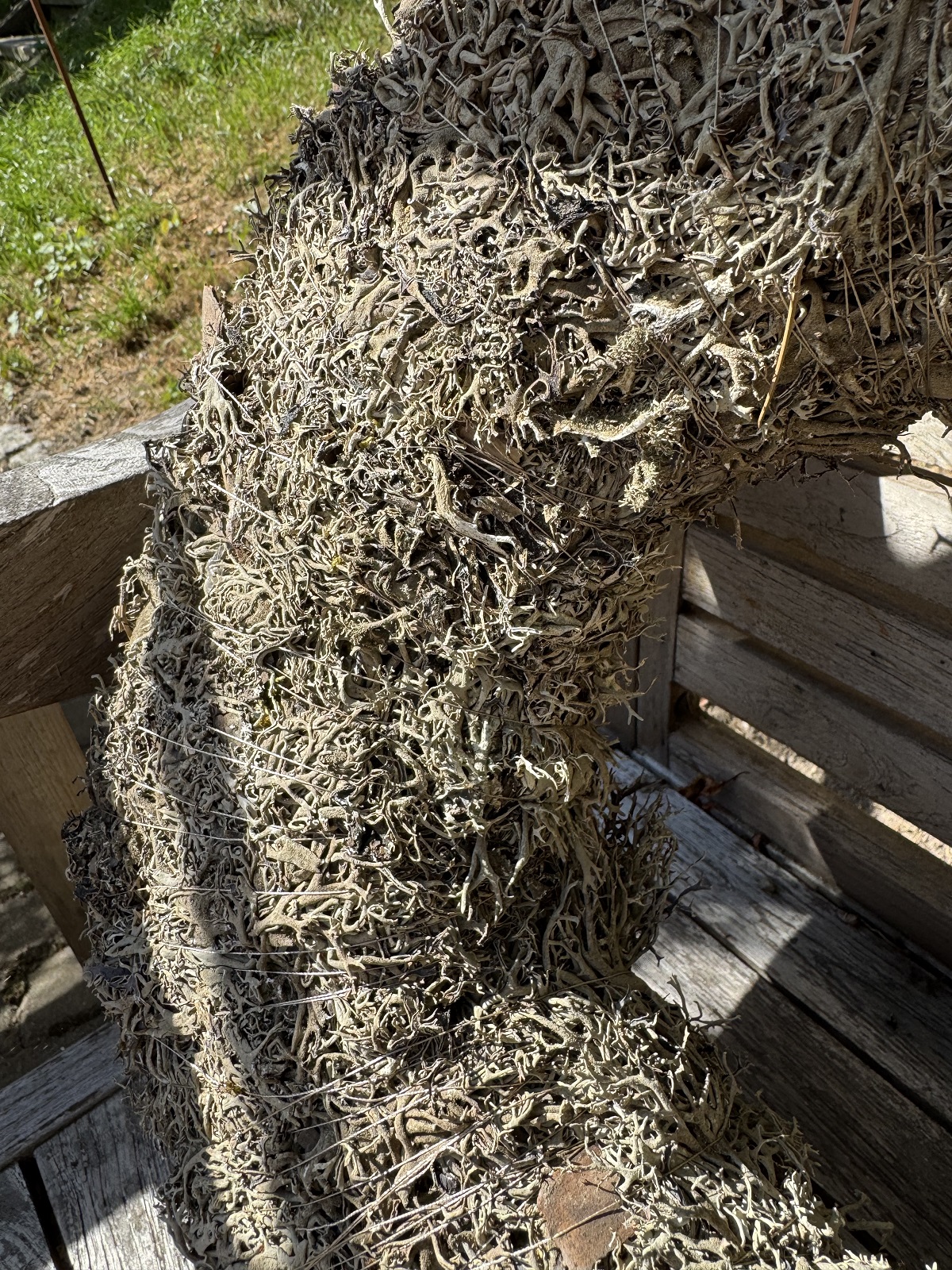 Natur Kranz Moos groß grau/naturfarben - Durchmesser 50 cm