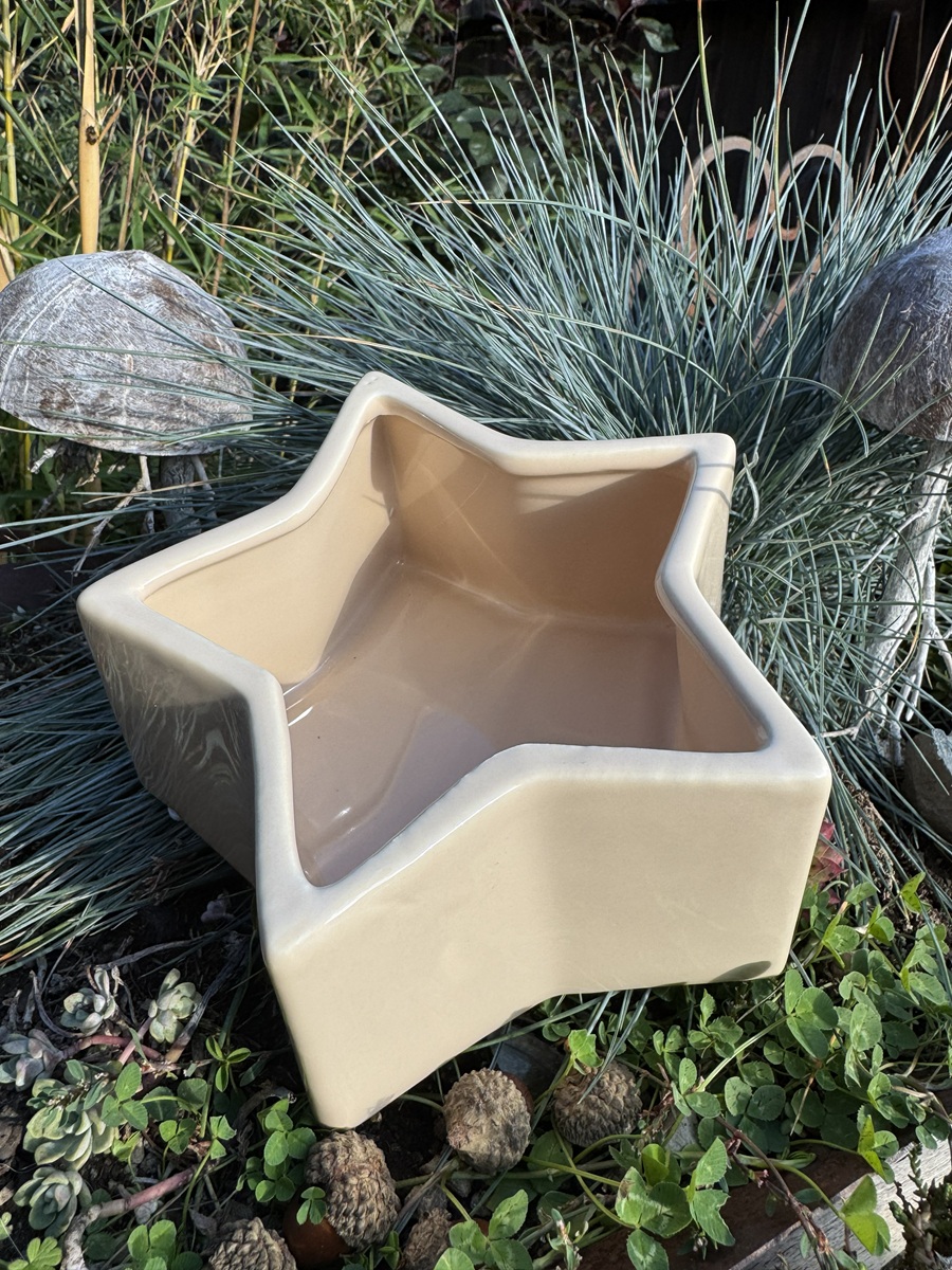 Keramik Schale Stern Creme - Durchmesser 17,5 cm