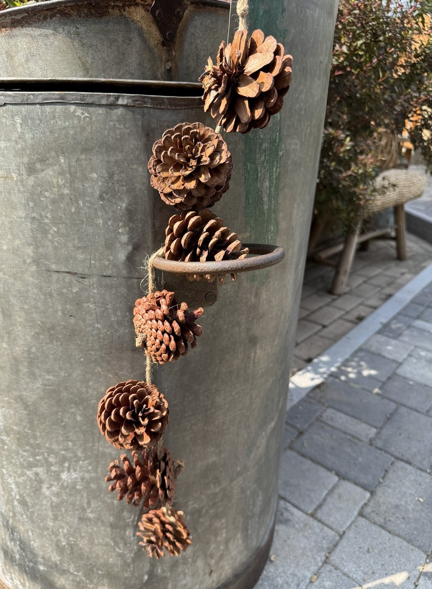 Girlande mir 6 Naturzapfen zum Hängen - Länge ca. 54 cm