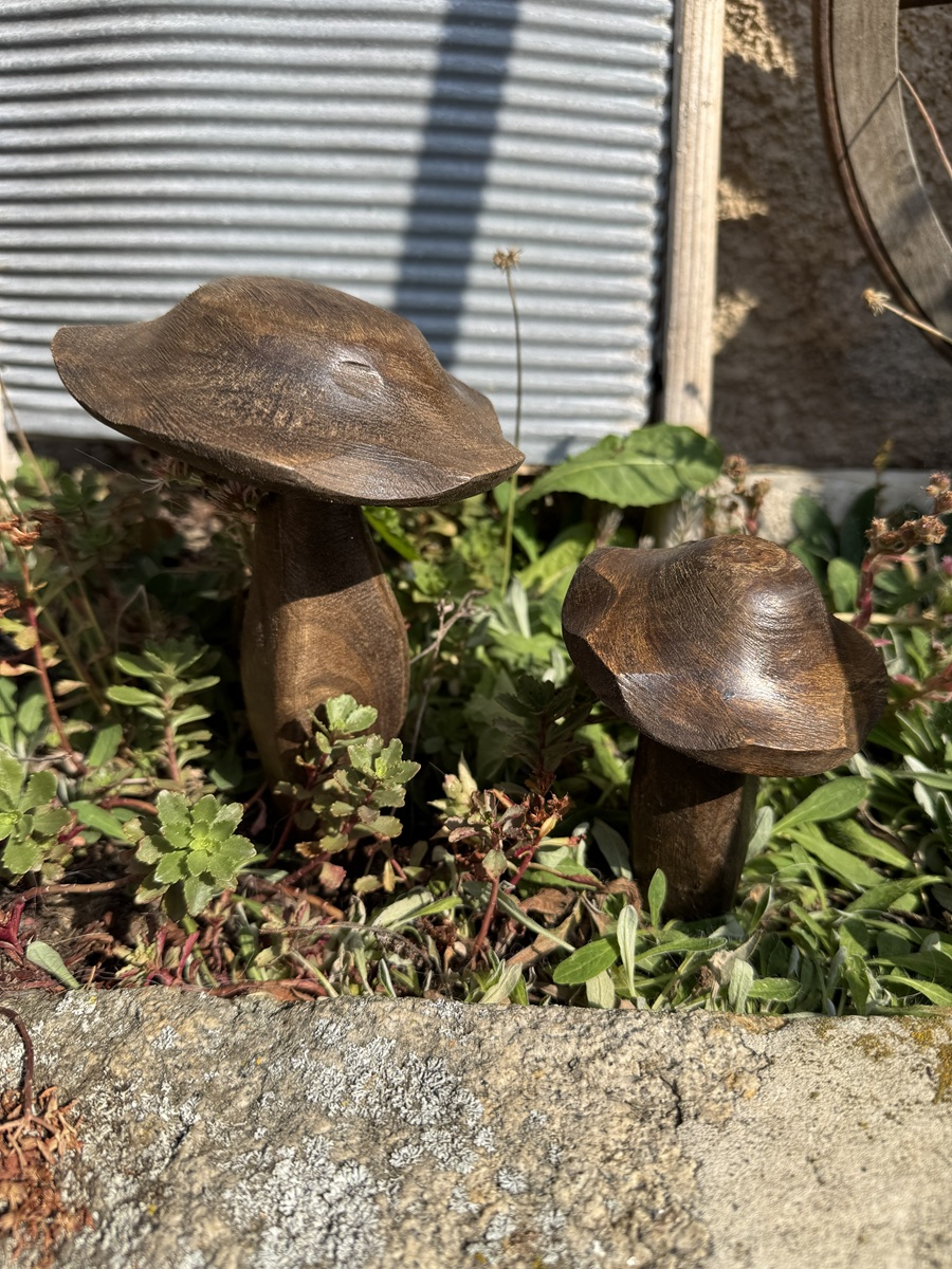 Holz Pilz dunkelbraun Handgearbeitet - Höhe ca. 13 cm