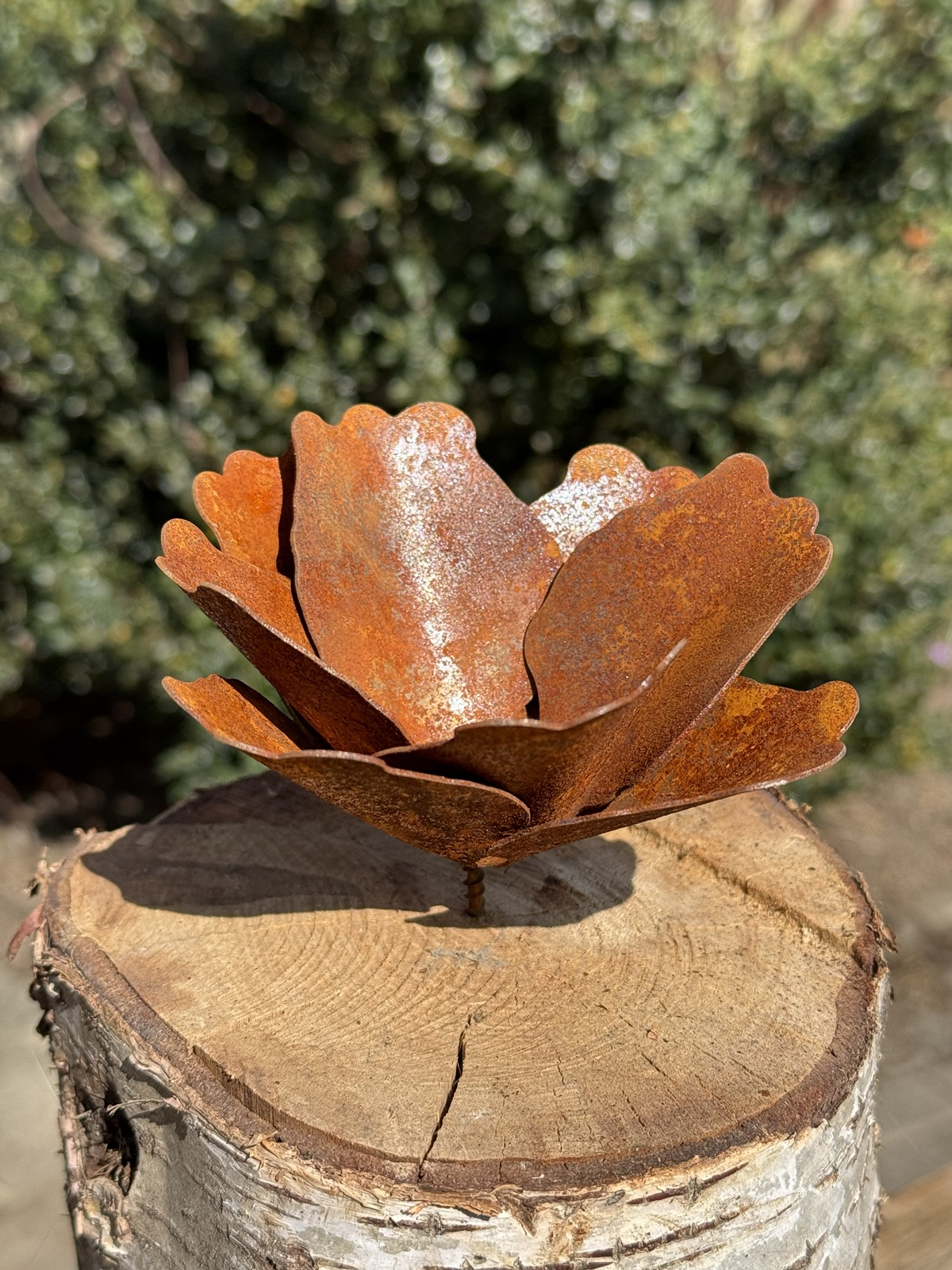 Edelrost Blüte klein mit Schraube - Durchmesser ca. 14 cm