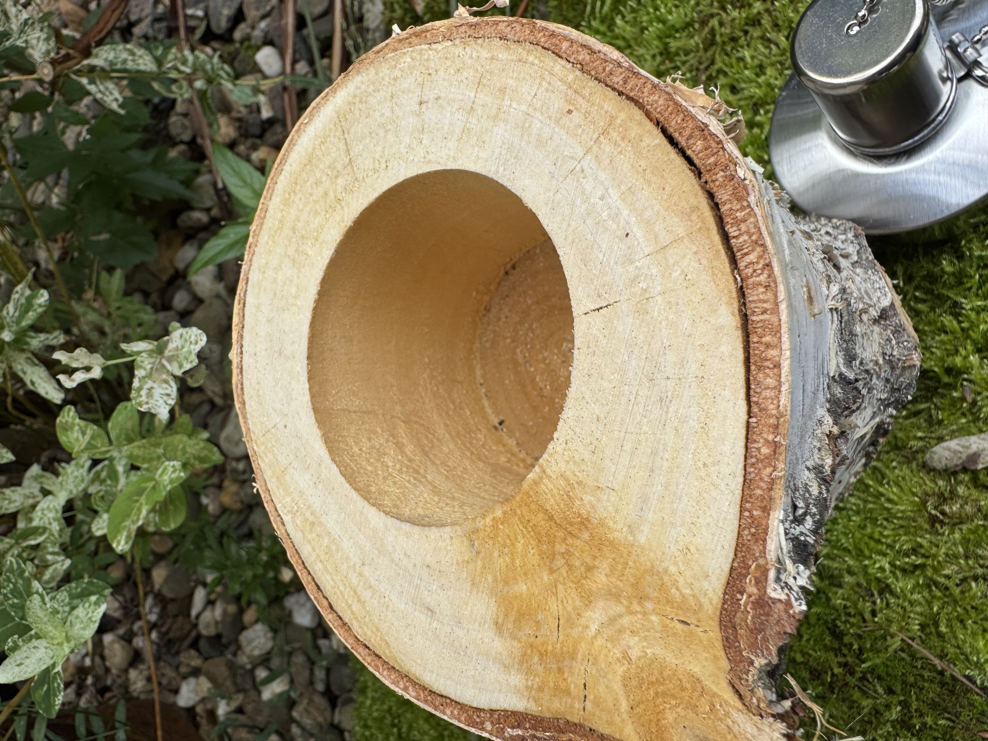 Öllampe Birkenstamm - Höhe ca. 25 cm