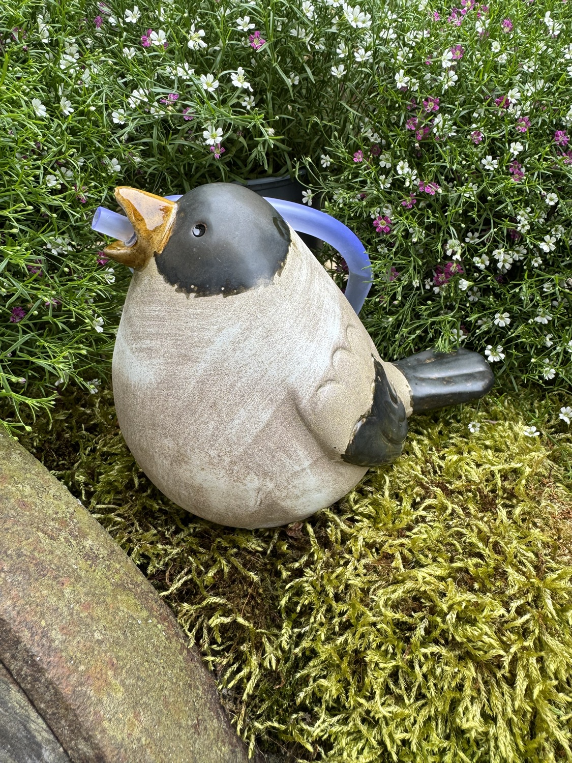 Steingut Wasserspeier Vogel Marta mit Pumpe - Höhe 13 cm