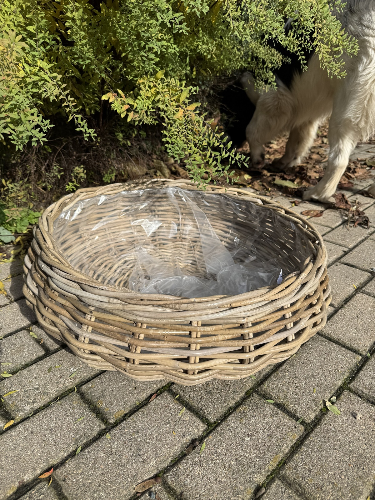 Pflanz Schale Rattan groß Outdoor mit Folie - Durchmesser 50 cm