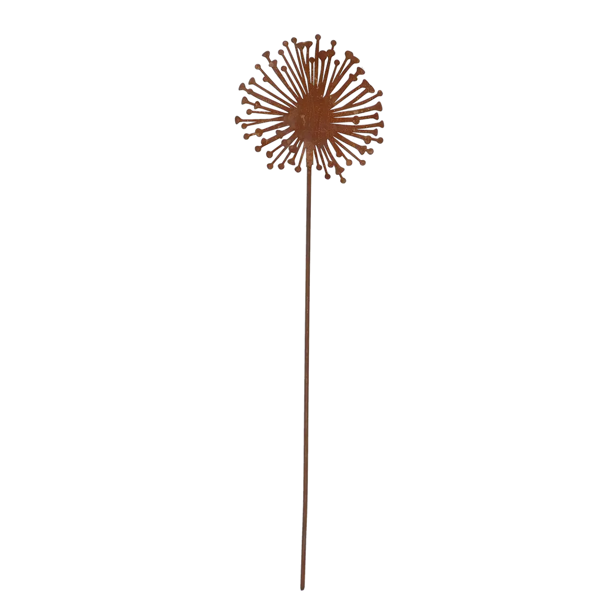 Edelrost Allium auf Stab - Höhe 37 cm