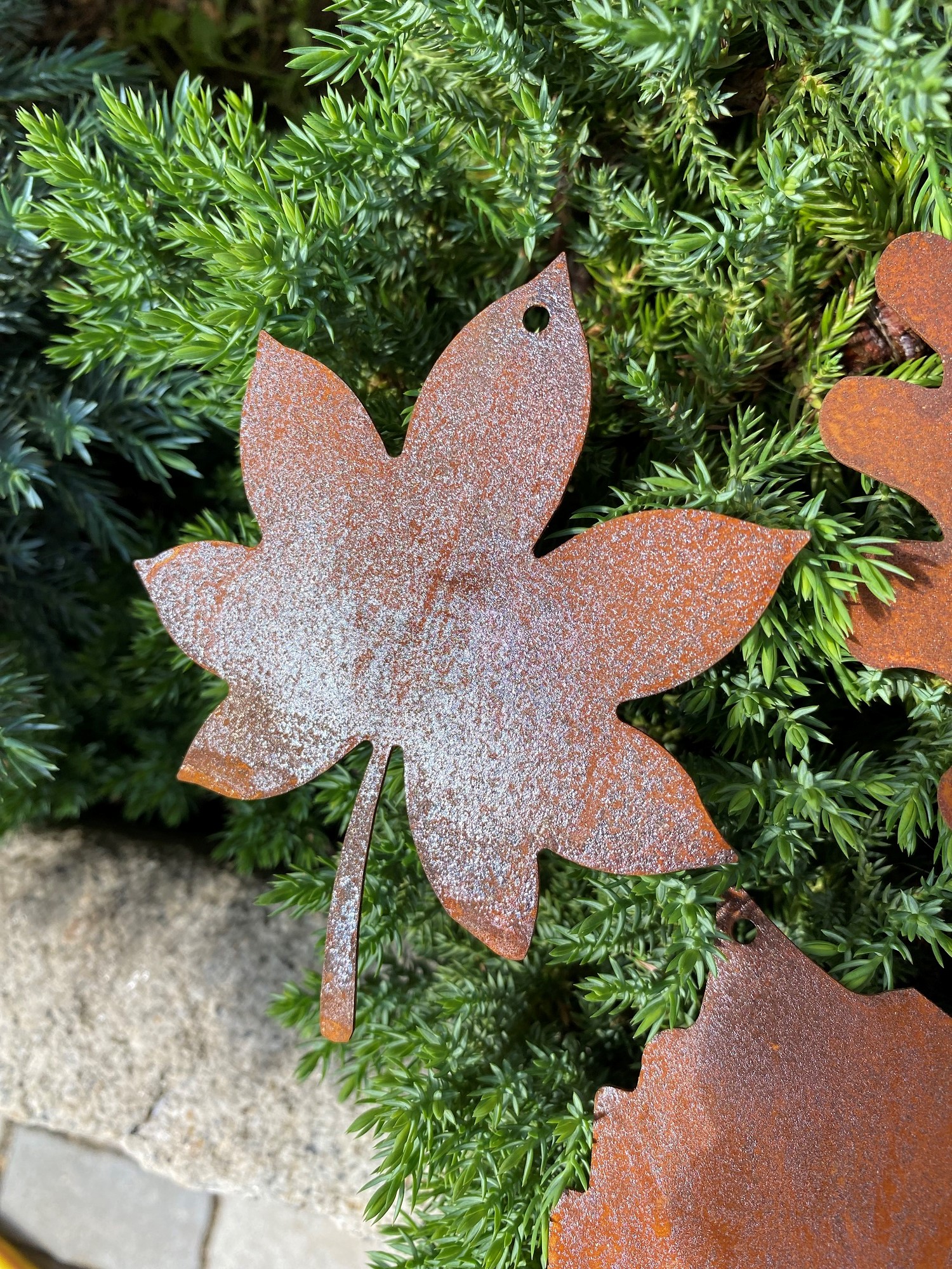 Edelrost 4tlg. Herbstlaub zum Hängen - Höhe 10/11 cm