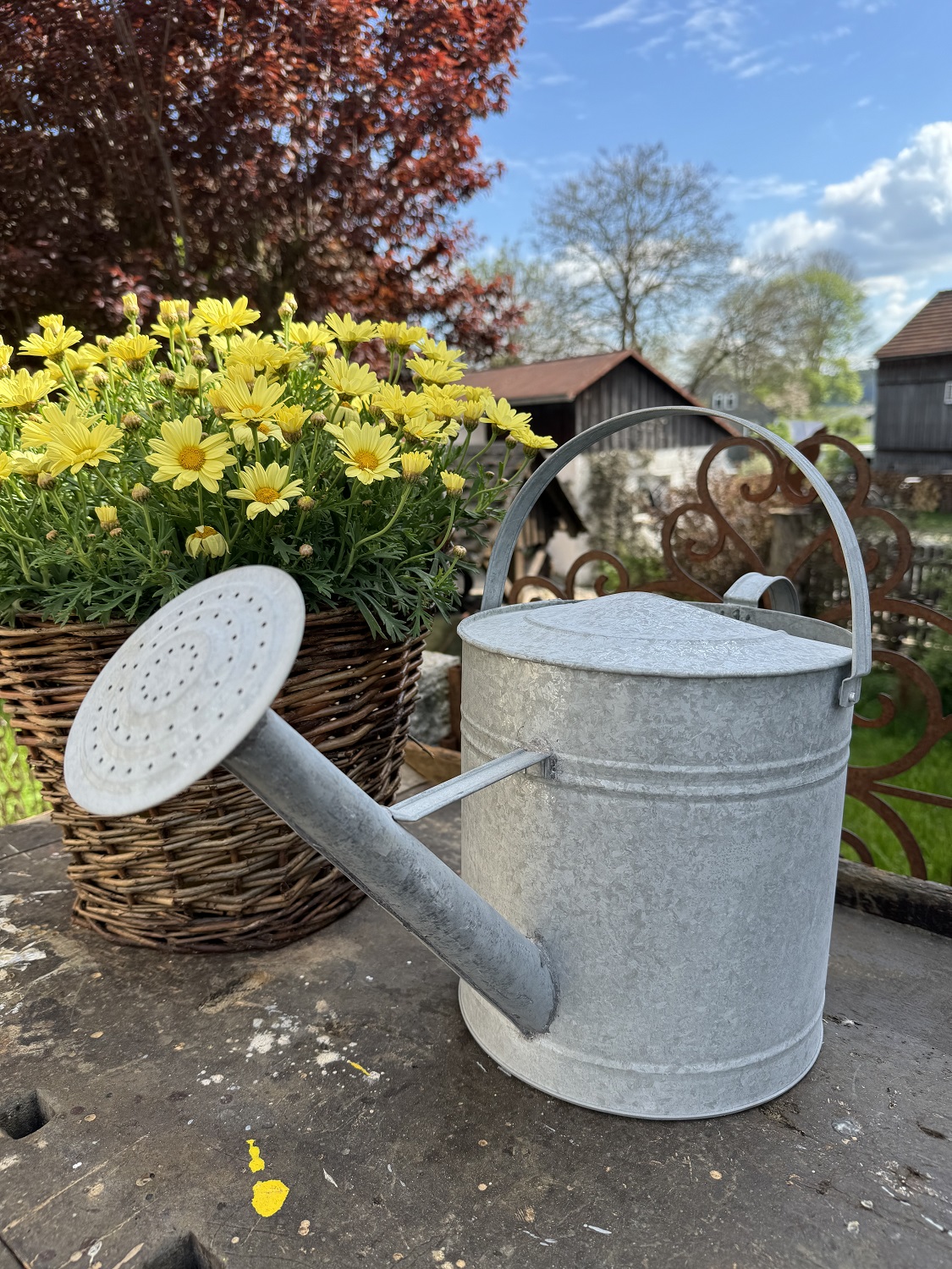 Zink Gießkanne groß 8,75 Liter mit Brausekopf Liter - Höhe 30 cm