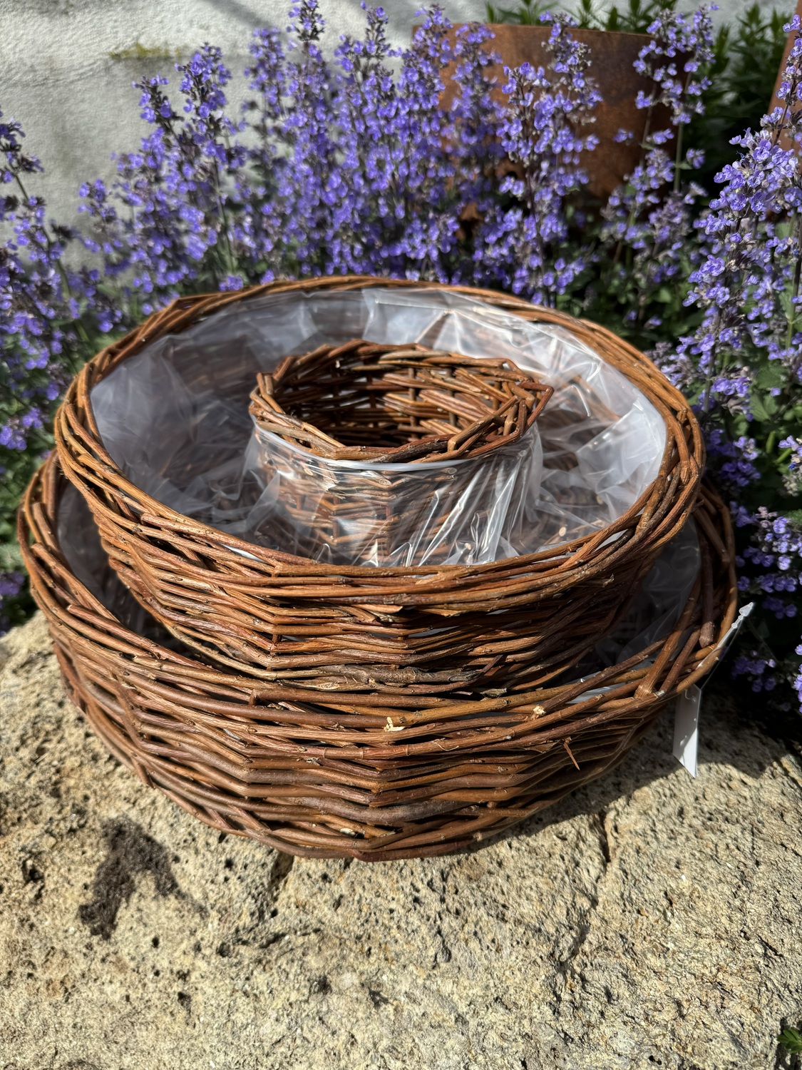 2tlg. Pflanzring Weide naturfarben - Durchmesser 30/35 cm