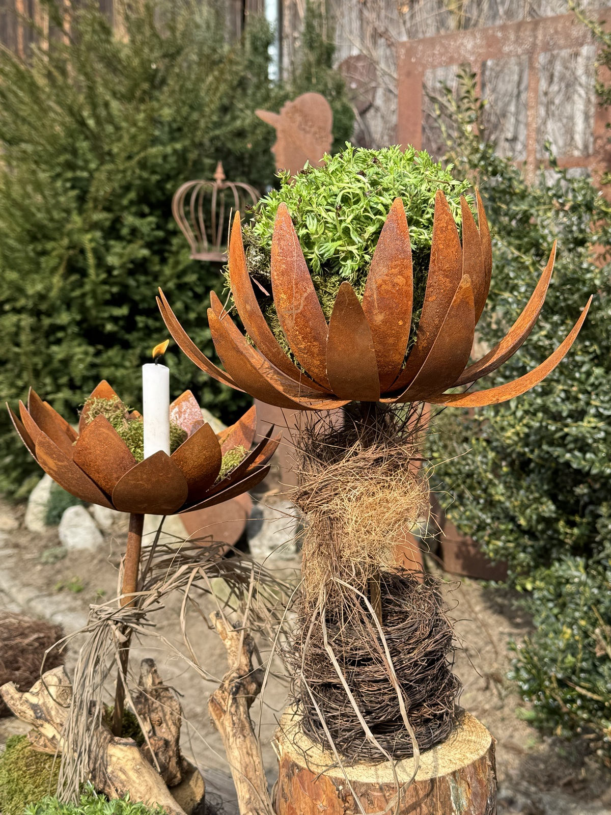 Edelrost Chrysantheme mit Teelichthalter und Hülse - Durchmesser offen ca. 32 cm