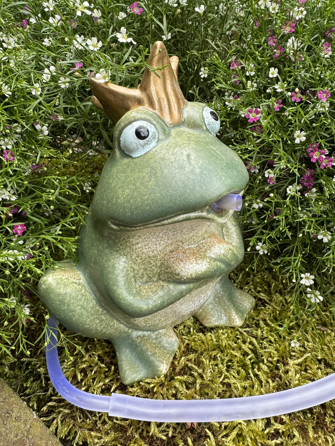 Steingut Wasserspeier Froschkönig Manfred grün mit goldener Krone - Höhe 18 cm