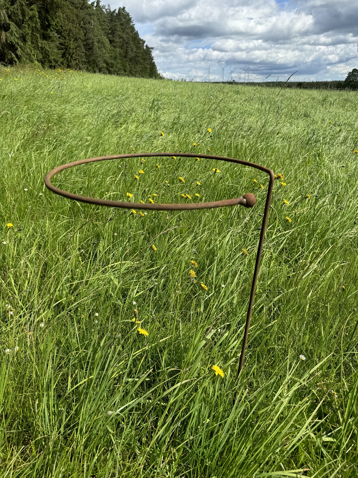Edelrost Staudenhalter groß runde Form - Durchmesser 40 cm