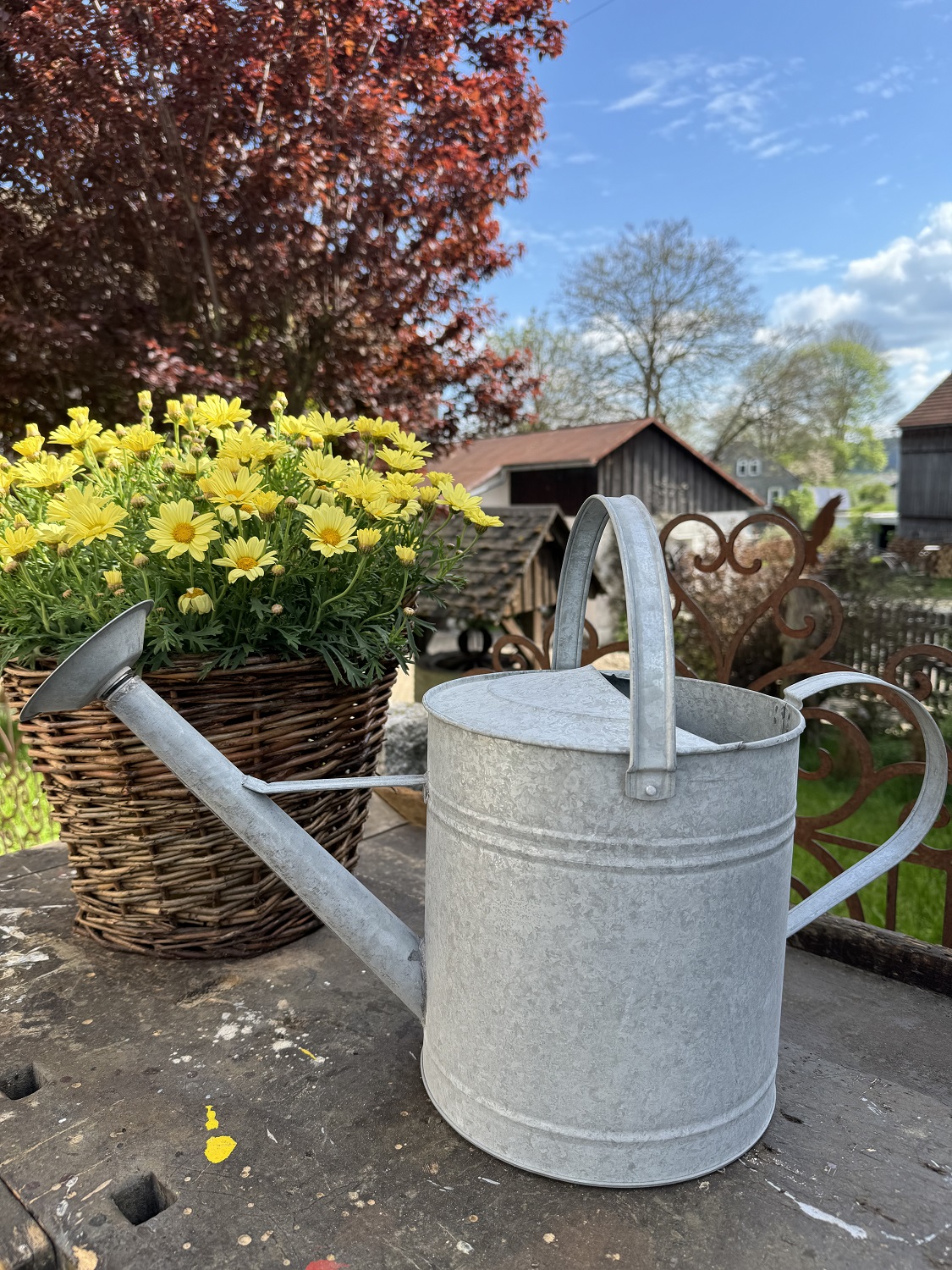 Zink Gießkanne groß 8,75 Liter mit Brausekopf Liter - Höhe 30 cm