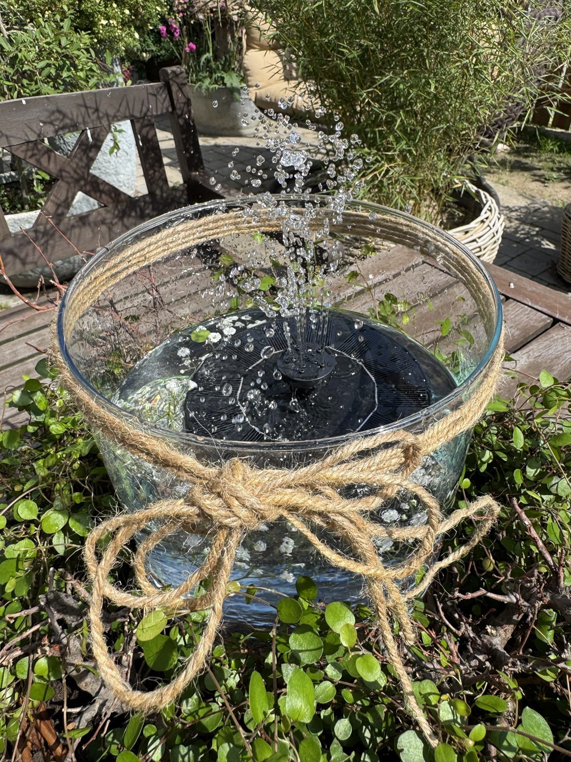 Glas Zylinder - Höhe 19 cm