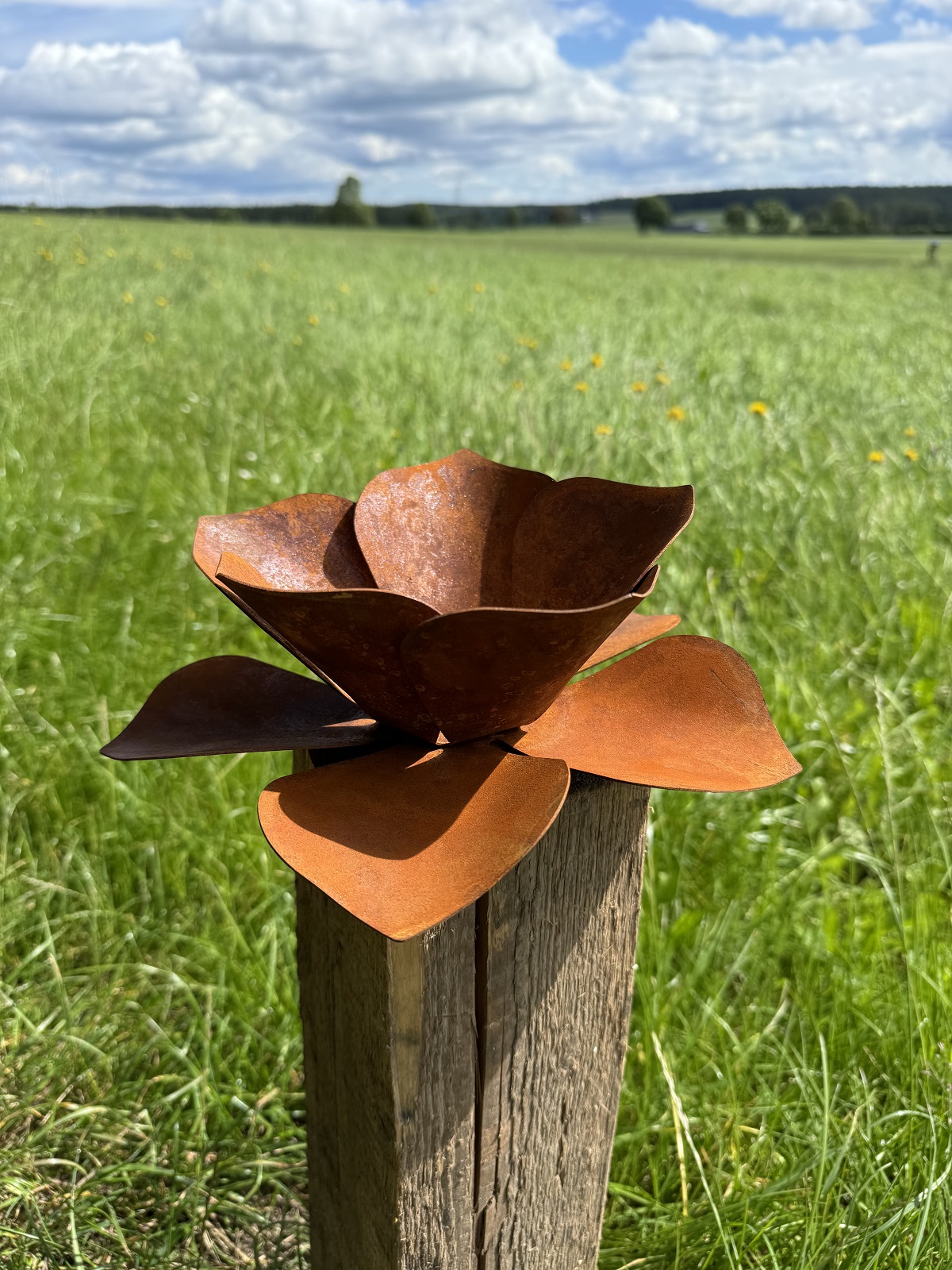 Edelrost Blüte mittel auf Bodenplatte - Durchmesser 20 cm