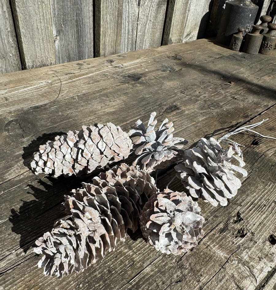 3 Fichten & 2 Kiefernzapfen an Draht Weiß gekalkt - Länge ca. 30 cm