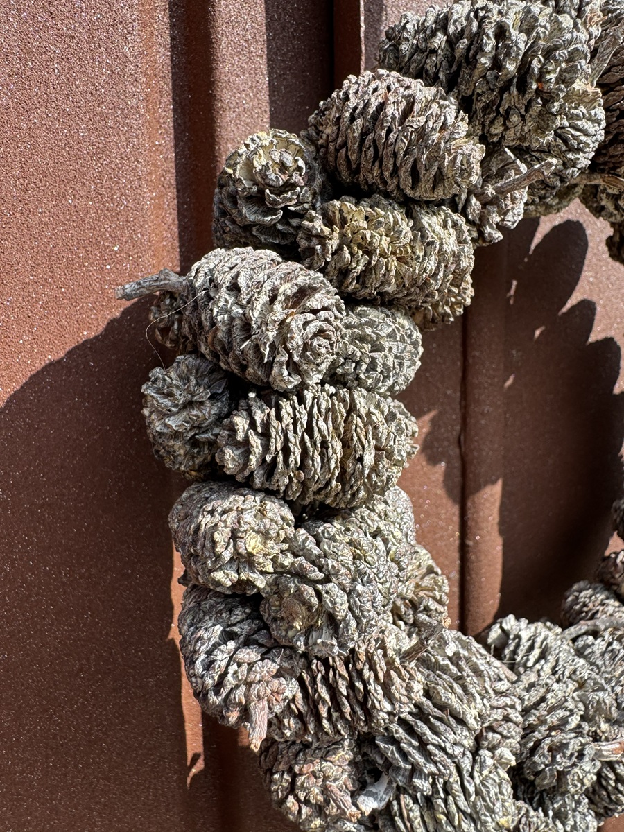 Erlenkranz mittel  Naturbelassen - Durchmesser 20 cm