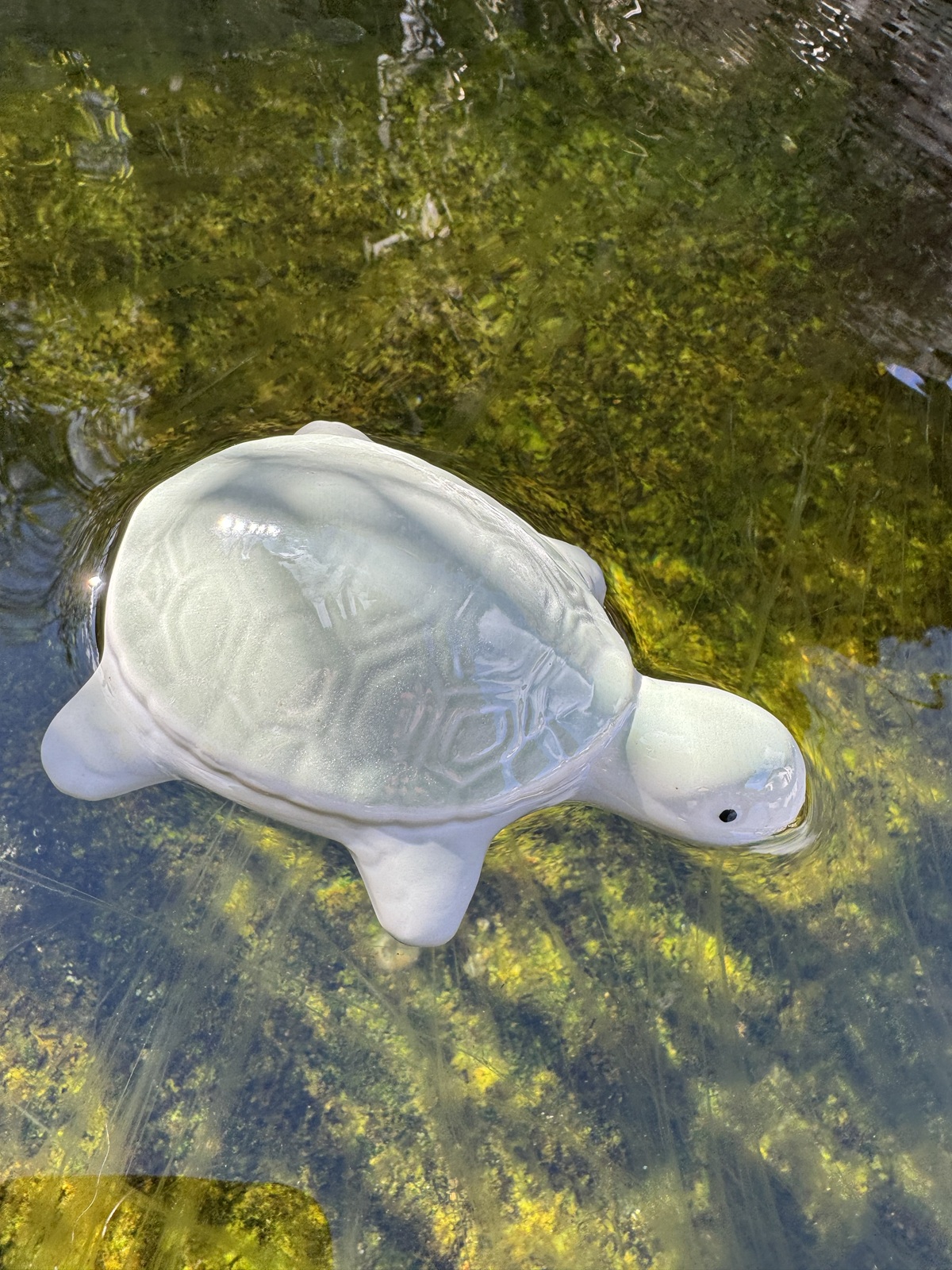 Keramik Schwimmfigur Schildkröte groß  - Höhe 4,5 cm