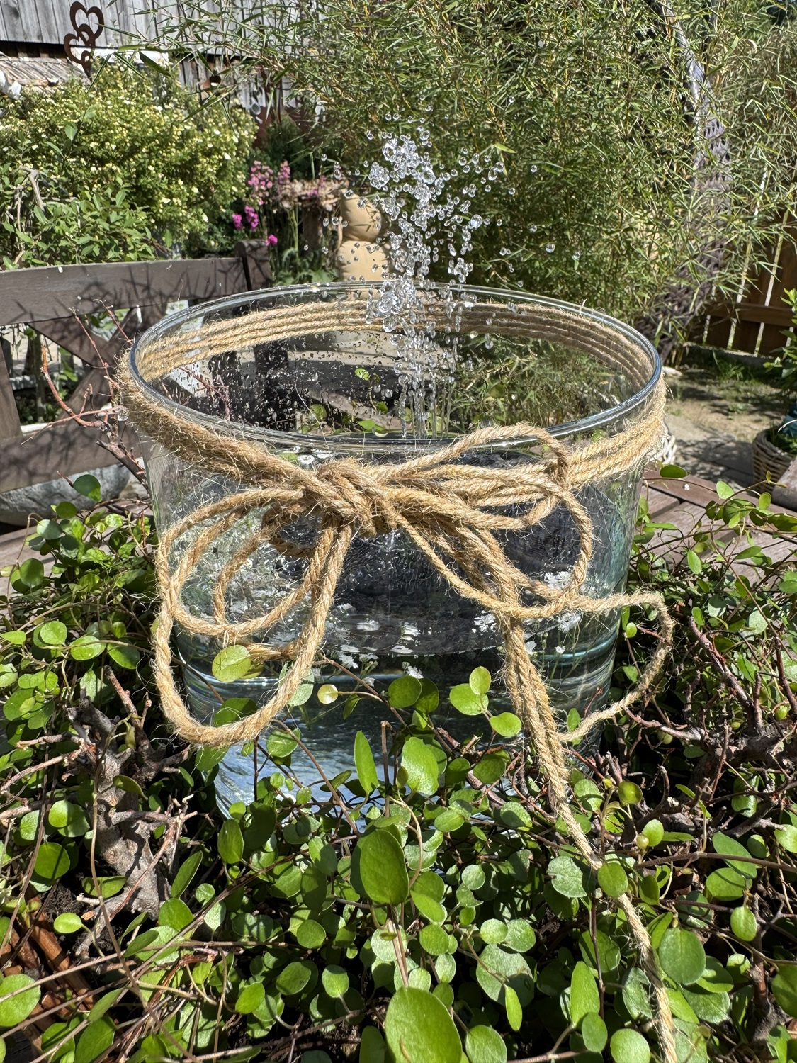 Glas Zylinder - Höhe 19 cm