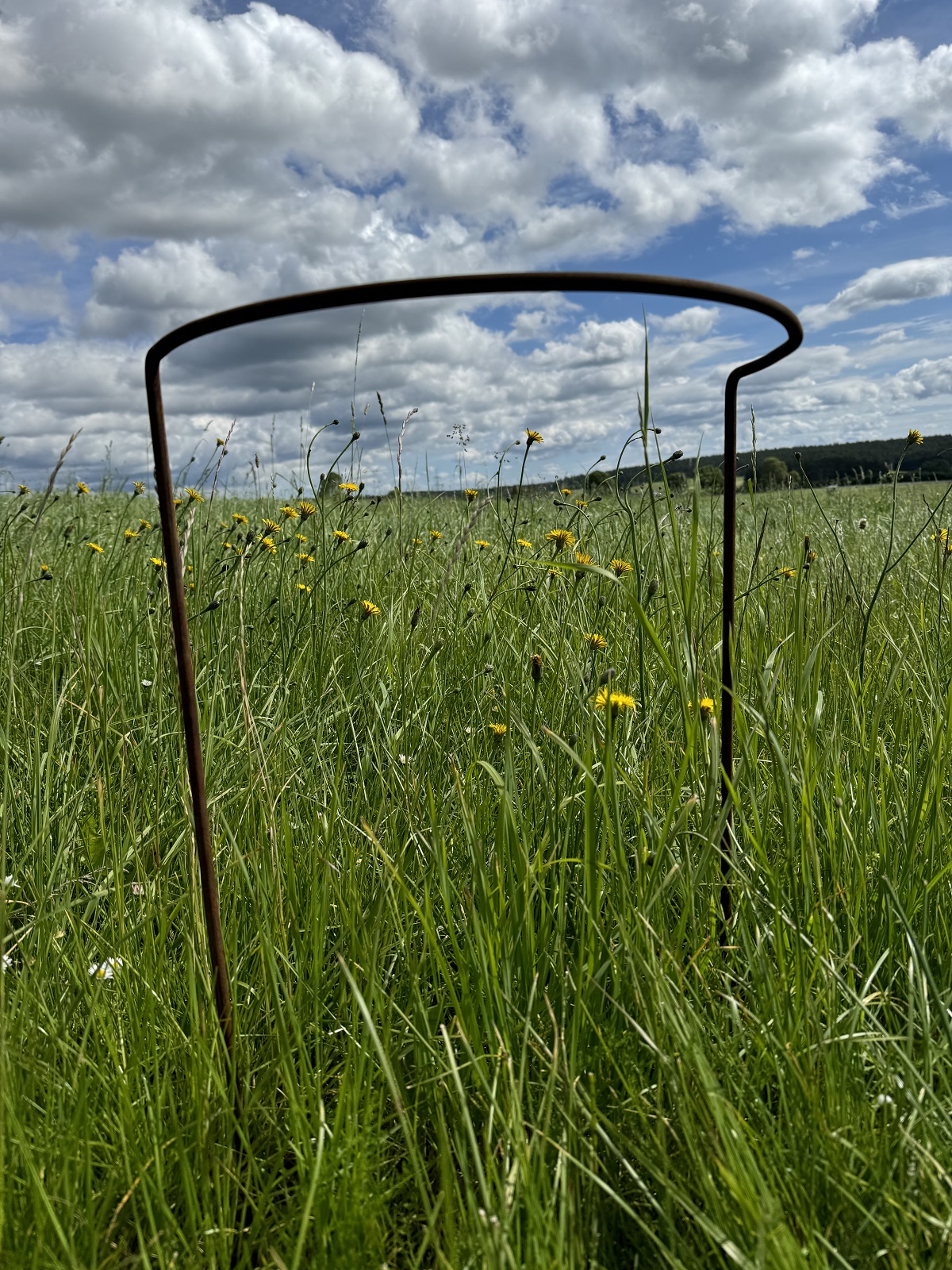 Edelrost Strauchhilfe groß - Durchmesser 40 cm